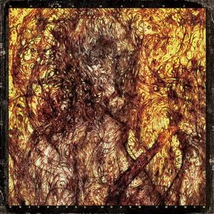 Lord Mantis Universal Death Church cover