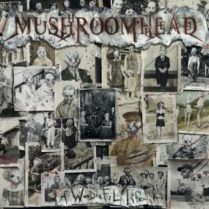 Mushroomhead A Wonderful Life cover