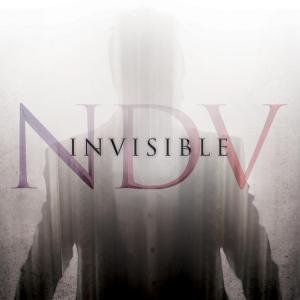 Nick D’Virgilio Invisible cover