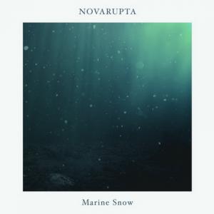 Novarupta Marine Snow cover