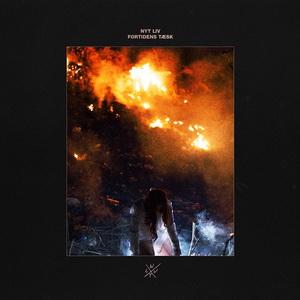Nyt Liv Fortidens Tæsk single cover