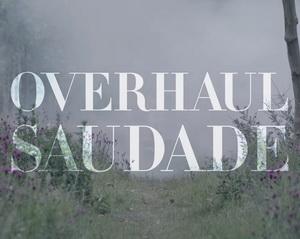 Overhaul video pic