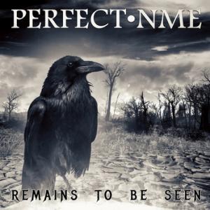 Perfect NME Remains to Be Seen cover