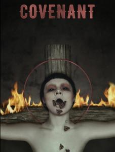 Soen Covenant video pic
