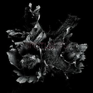 Spotlights Love & Decay cover