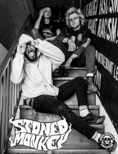 Stoned Monkey band pic