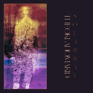 The Oklahoma Kid Solarray cover