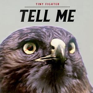 Tiny Fighter Tell Me EP cover