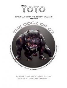 Toto 2020 poster