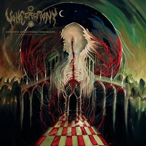 VoidCeremony Entropic Reflections Continuum: Dimensional Unravel cover