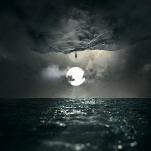 Wooden Veins In Finitude cover
