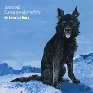 Advance Base Animal Companionship cover