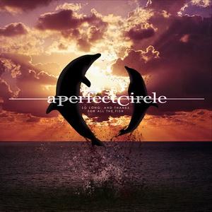 A Perfect Circle So Long, and Thanks for All the Fish single cover