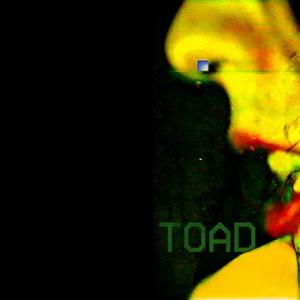 Arrows Of Love Toad single cover