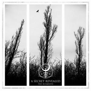 A Secret Revealed The Bleakness cover