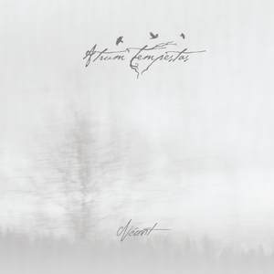 Atrum Tempestas Néant cover
