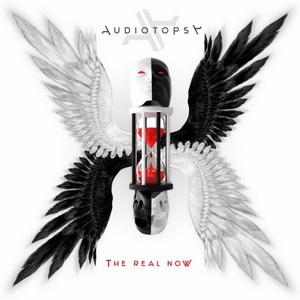 Audiotopsy The Real Now cover