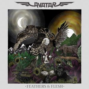 Avatar Feathers & Flesh cover