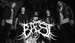 Bæst band pic