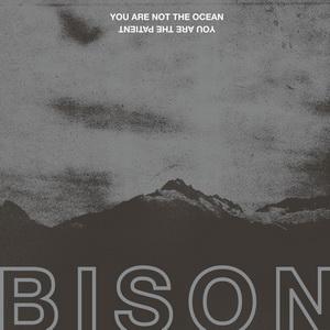 Bison You Are Not the Ocean You Are the Patient cover