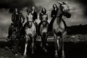 Bombus band pic