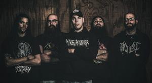 Cognitive band pic
