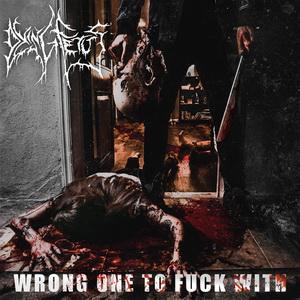 Dying Fetus Wrong One to Fuck With cover