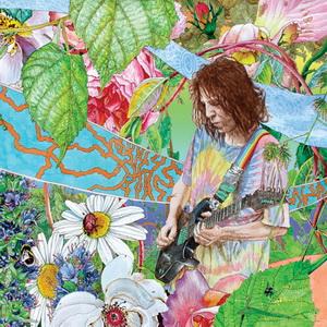 Ed Wynne Shimmer into Nature cover
