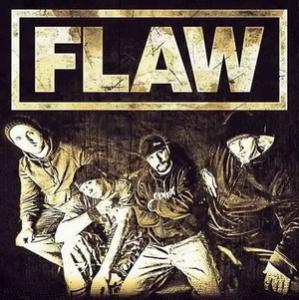 Flaw band pic