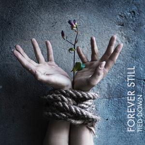 Forever Still Tied Down cover
