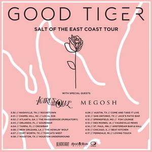 Good Tiger US Tour 2018 poster