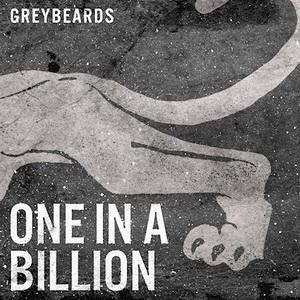 Greybeards One in a Billion single cover