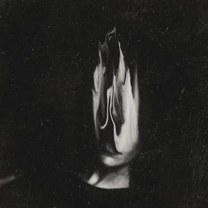 Haunted Dayburner cover