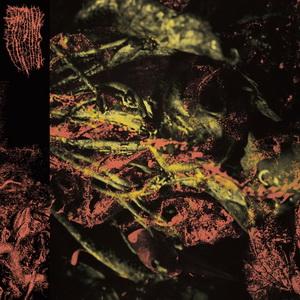Hissing Permanent Destitution cover