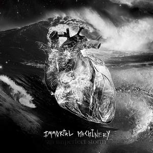 Immortal Machinery An Imperfect Storm cover