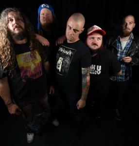 King Parrot band pic