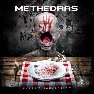 Methedras System Subversion cover