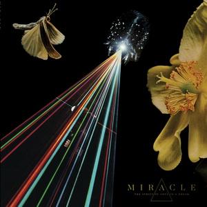 Miracle The Strife of Love in a Dream cover