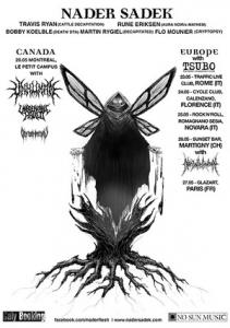 Nader Sadek tour 2014 poster