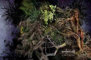 Northern Oak Of Roots and Flesh art