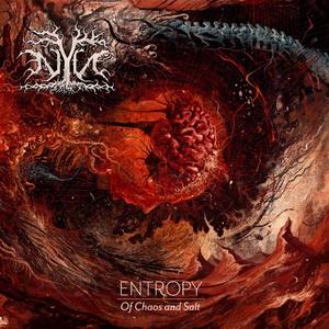 NYN Entropy: Of Chaos and Salt cover