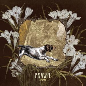 Prawn Run cover