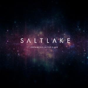 Saltlake Dreaming in the Dark single cover