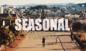 Seasonal video pic