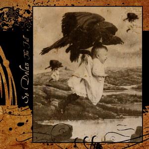 Se Delan The Fall cover