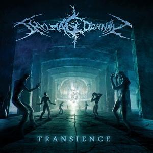 Shylmagoghnar Transience cover