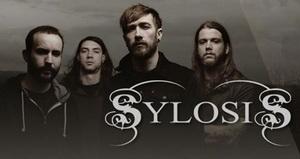 Sylosis band pic