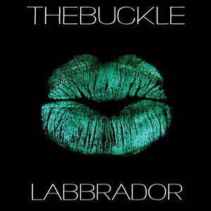 TheBuckle Labbrador cover