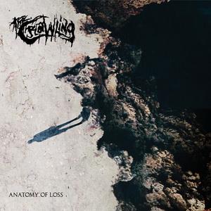 The Crawling Anatomy of Loss cover