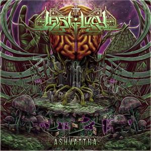 The Last Of Lucy Ashvattha cover